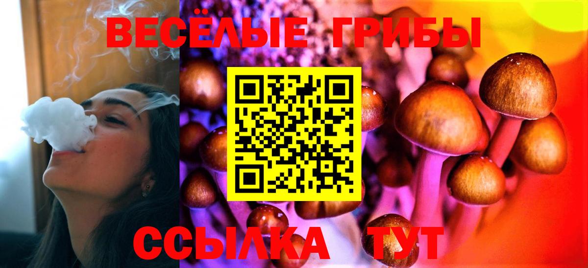 Киров  Галлюциногенные грибы Magic Shrooms  Вход с VPN 